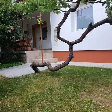 Pelso Hovirag * Siófok