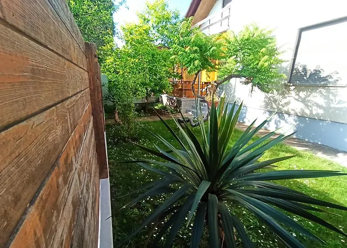 Pelso Hovirag 希欧福克