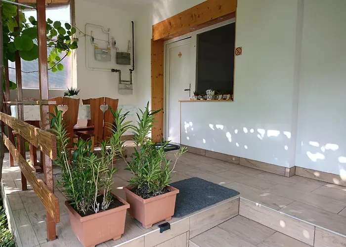 公寓 Pelso Hovirag 希欧福克